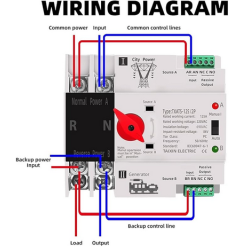 TRANSFER AUTOMATICO 100A-220V